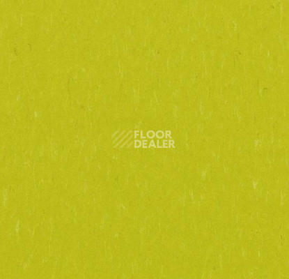 Линолеум Forbo Marmoleum Solid Piano 3646-364635 young grass фото 1 | FLOORDEALER